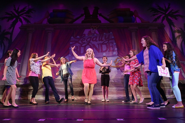 Actors in costumes from Legally Blonde Jr